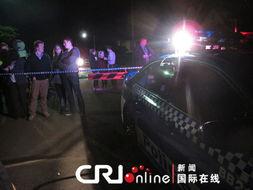 警戒线在线观看,揭秘在线观看背后的安全防线 第2张 警戒线在线观看,揭秘在线观看背后的安全防线 第2张